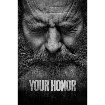 Your Honor Season 1-2 DVD Box Set