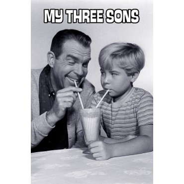 My Three Sons Season 1-12 DVD Box Set