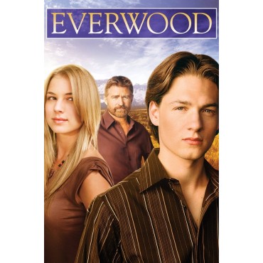 Everwood Season 1-4 DVD Box Set