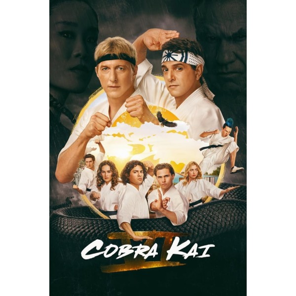 Cobra Kai Series 1-6 DVD Box Set