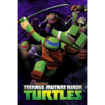 Teenage Mutant Ninja Turtles Season 1-5 DVD Box Set