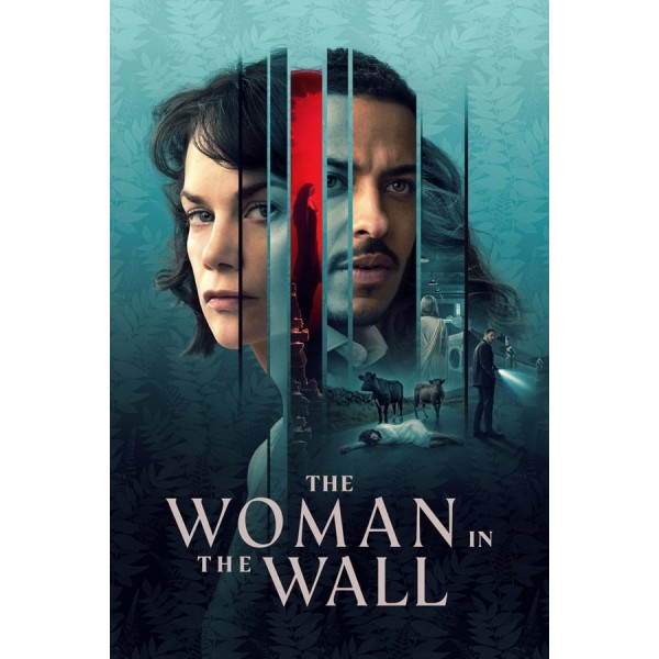 The Woman in the Wall Season 1 DVD Box Set