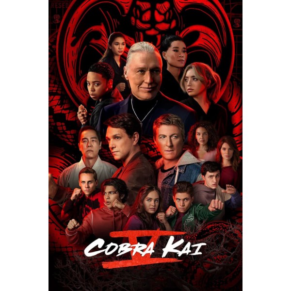 Cobra Kai Season 1-5 DVD Box Set