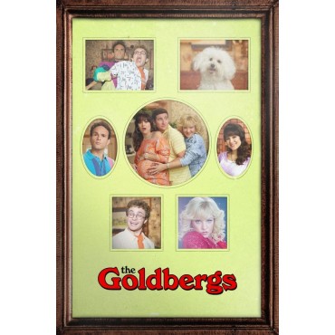 The Goldbergs Season 1-10 DVD Box Set