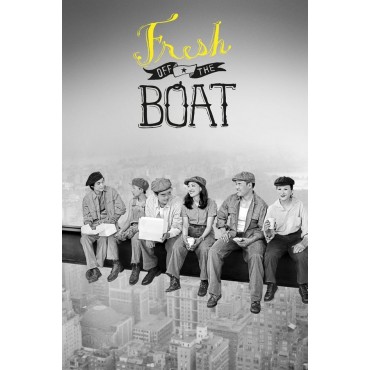Fresh Off the Boat Season 1-6 DVD Box Set