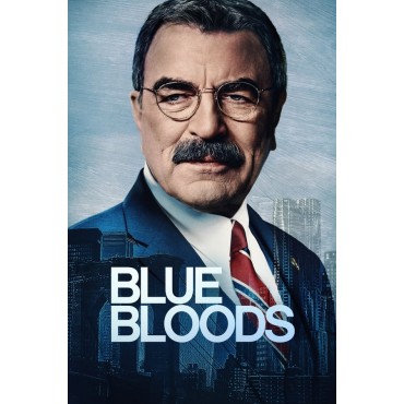 Blue Bloods Season 1-14 DVD Box Set
