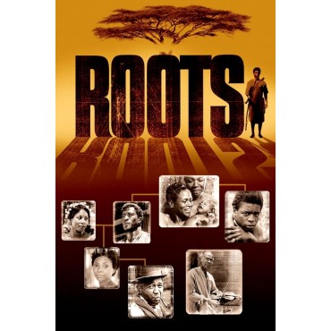 Roots Season 1 DVD Box Set