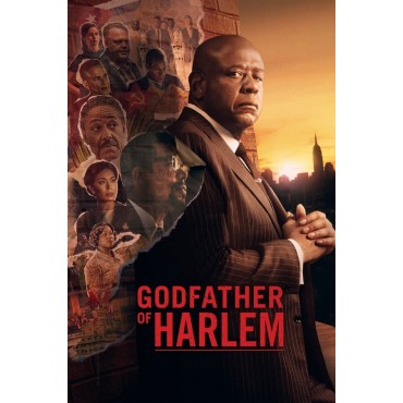 Godfather of Harlem Season 1-3 DVD Box Set